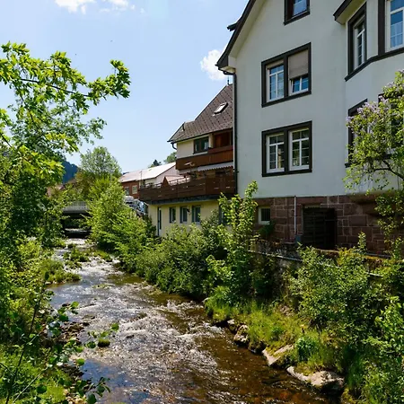 Hotell Havenu Tannengrund 3*